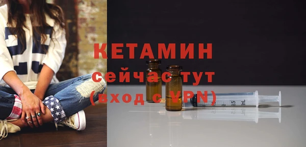 индика Надым