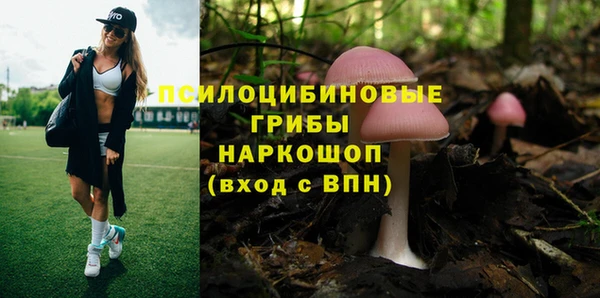бошки Михайловск
