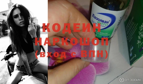 прущие грибы Наволоки