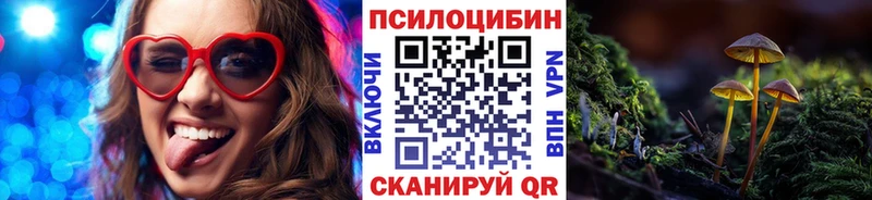 цена   Нерехта  Псилоцибиновые грибы Cubensis 
